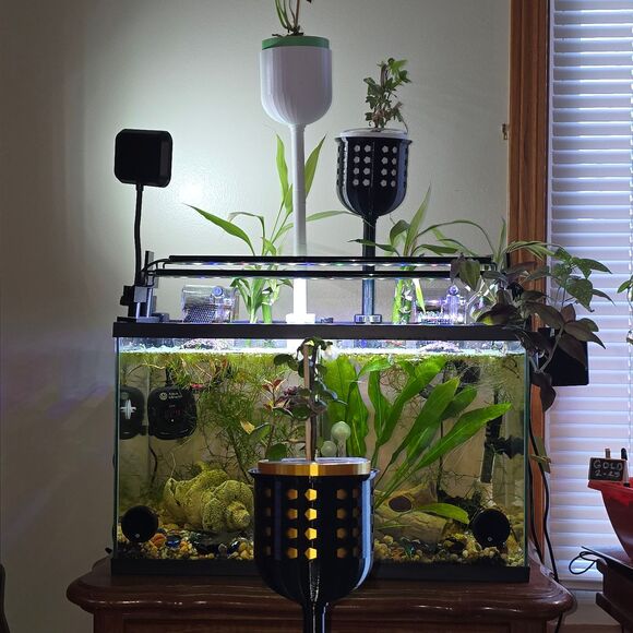 Aquaponic Aquarium Wicking Planter Pot Black Gold Self Watering Fish Tank Decor - Picture 1 of 14